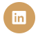 LinkedIn button